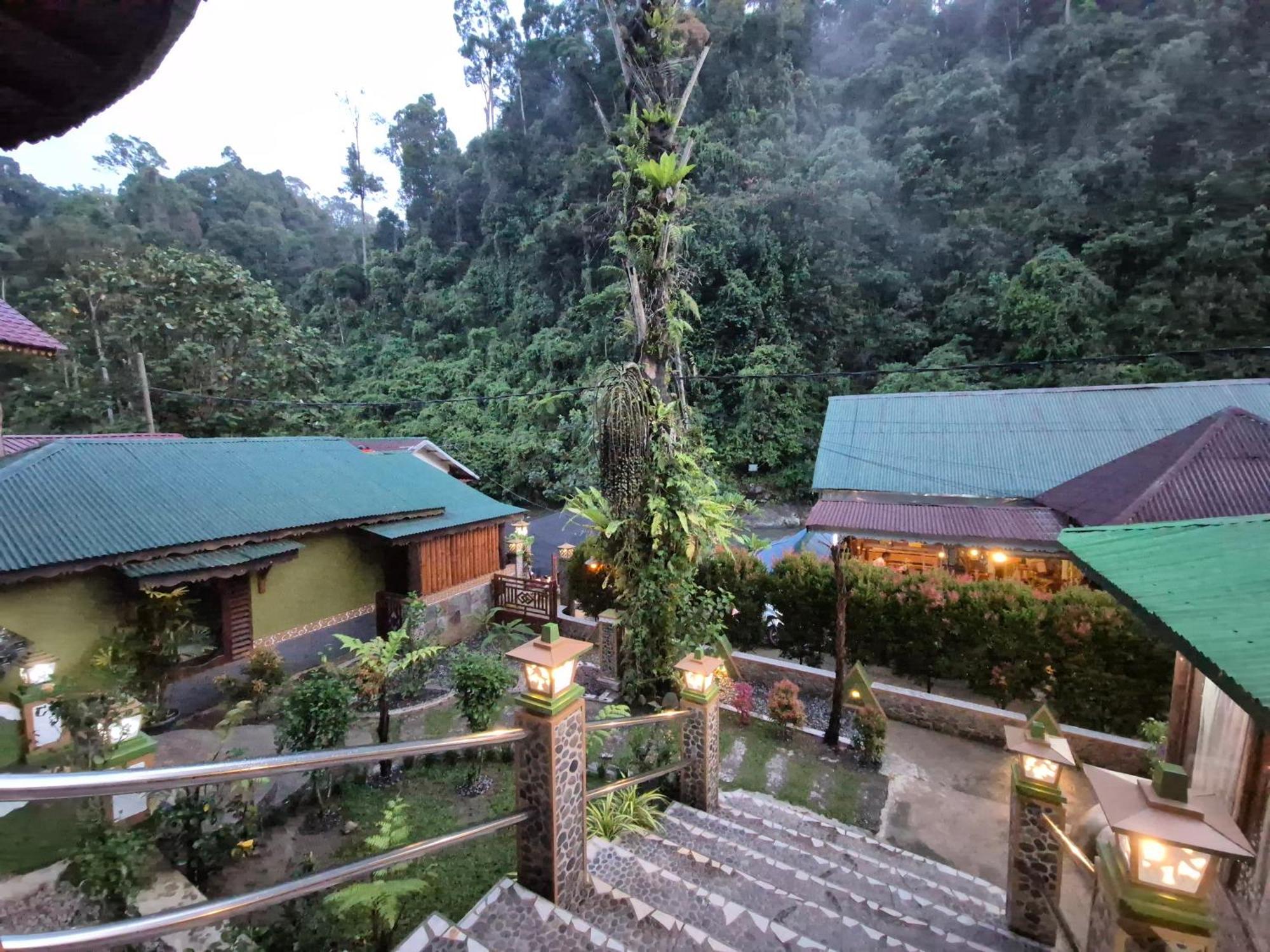 Sam'S Bungalows And Treks บูกิตลาวัง ภายนอก รูปภาพ